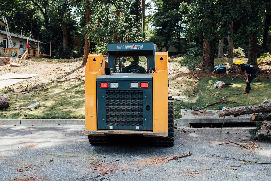 Top Tier Trees Image