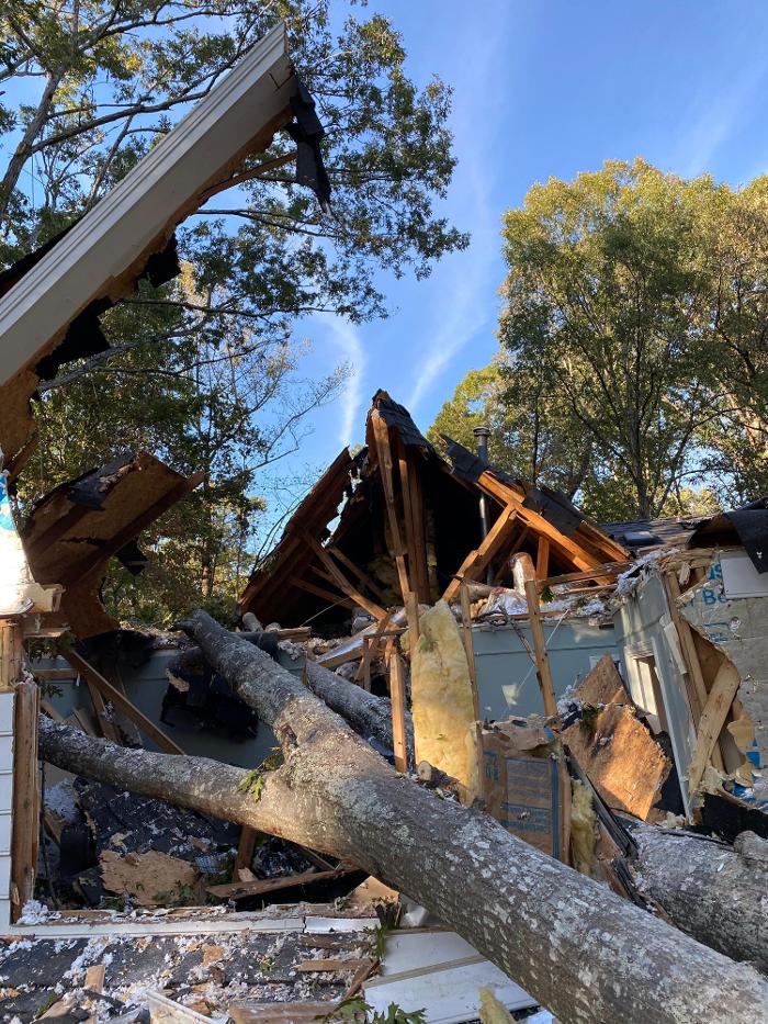 Top Tier Trees Image