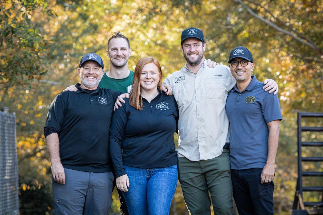 Top Tier Trees Image