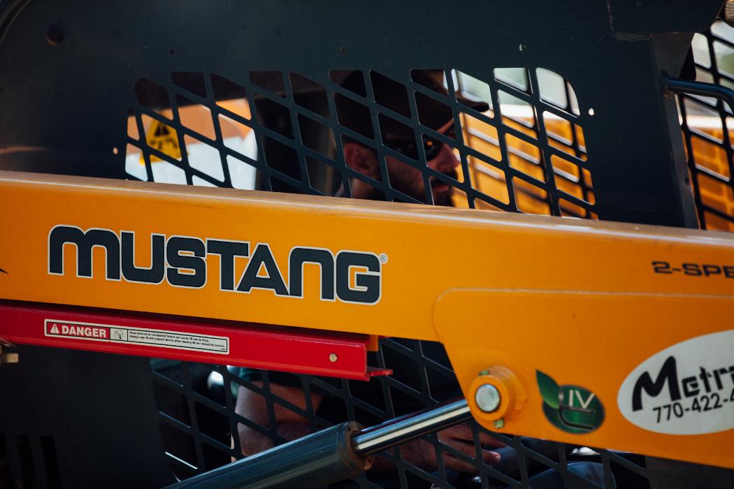 Top Tier Trees Image