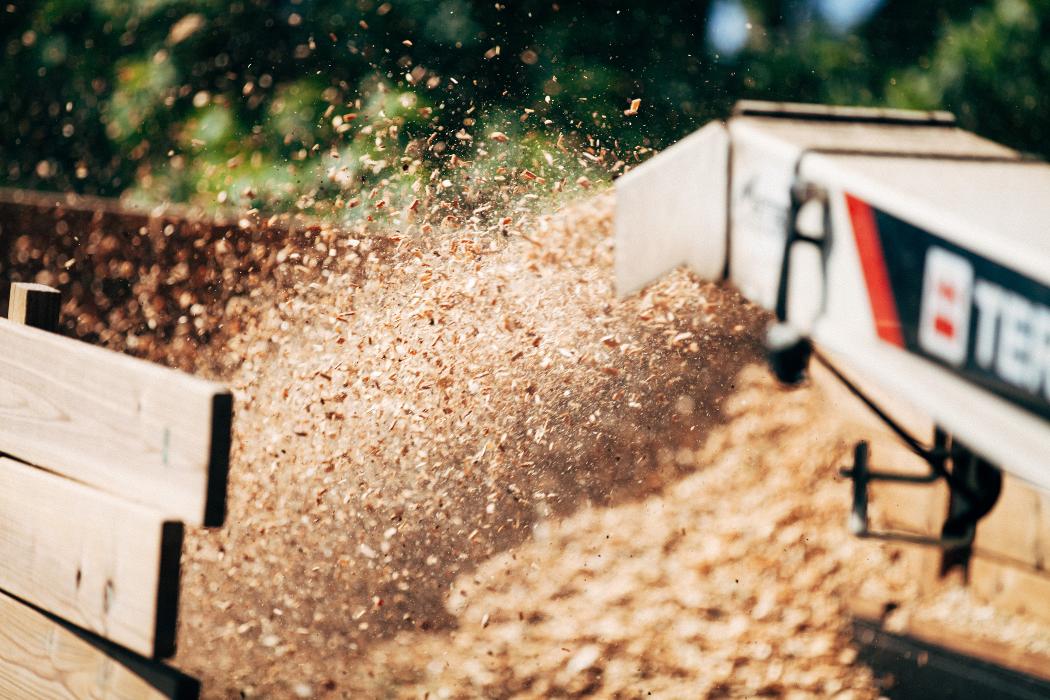 Top Tier Trees Image