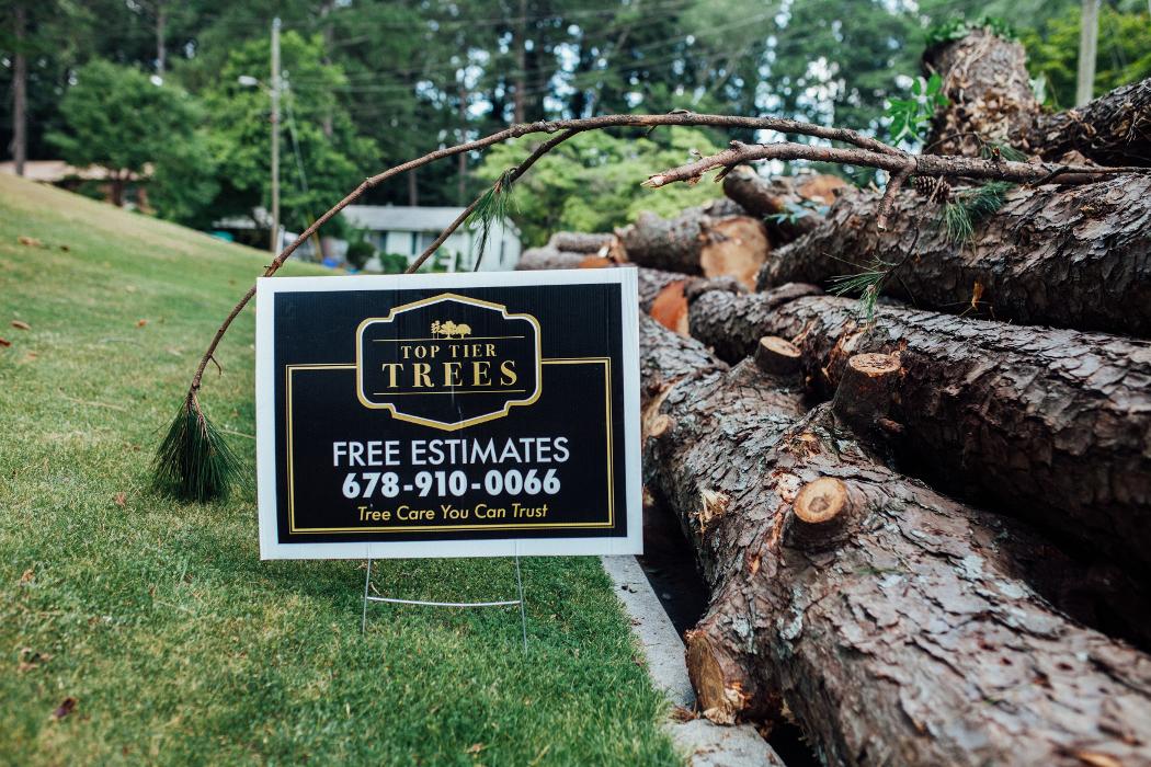 Top Tier Trees Image