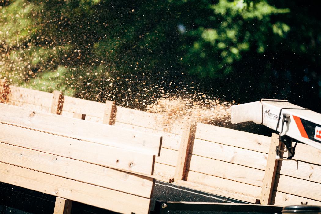 Top Tier Trees Image