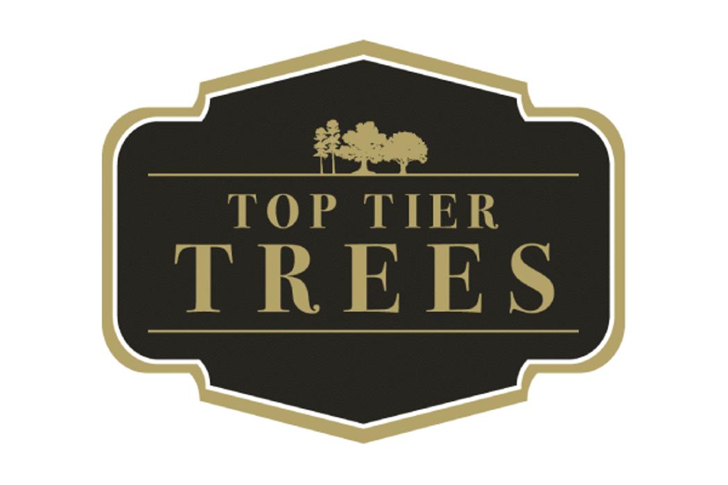 Top Tier Trees Image