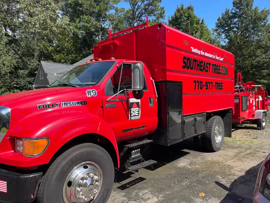 Southeast Tree Image