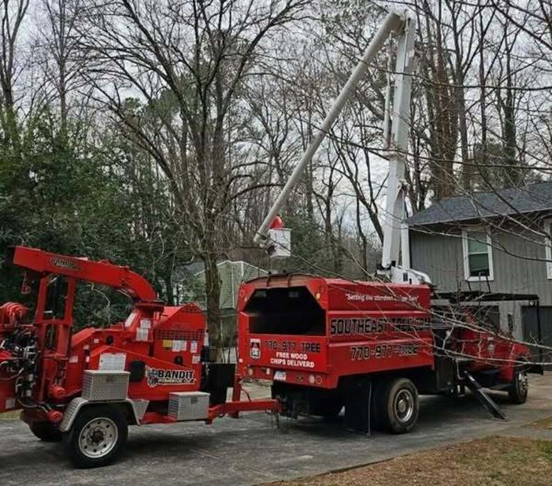 Southeast Tree Image