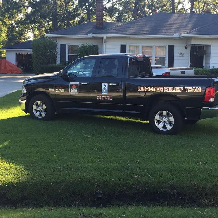 Southeast Tree Image