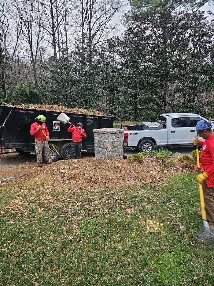 Southeast Tree Image