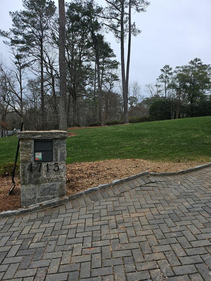 Southeast Tree Image