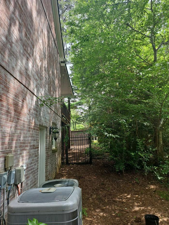 Southeast Tree Image