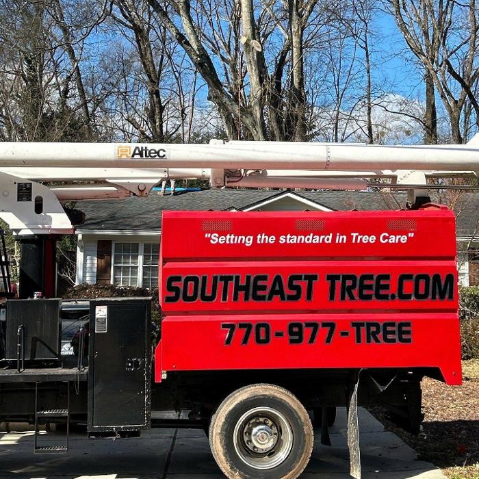 Southeast Tree Image