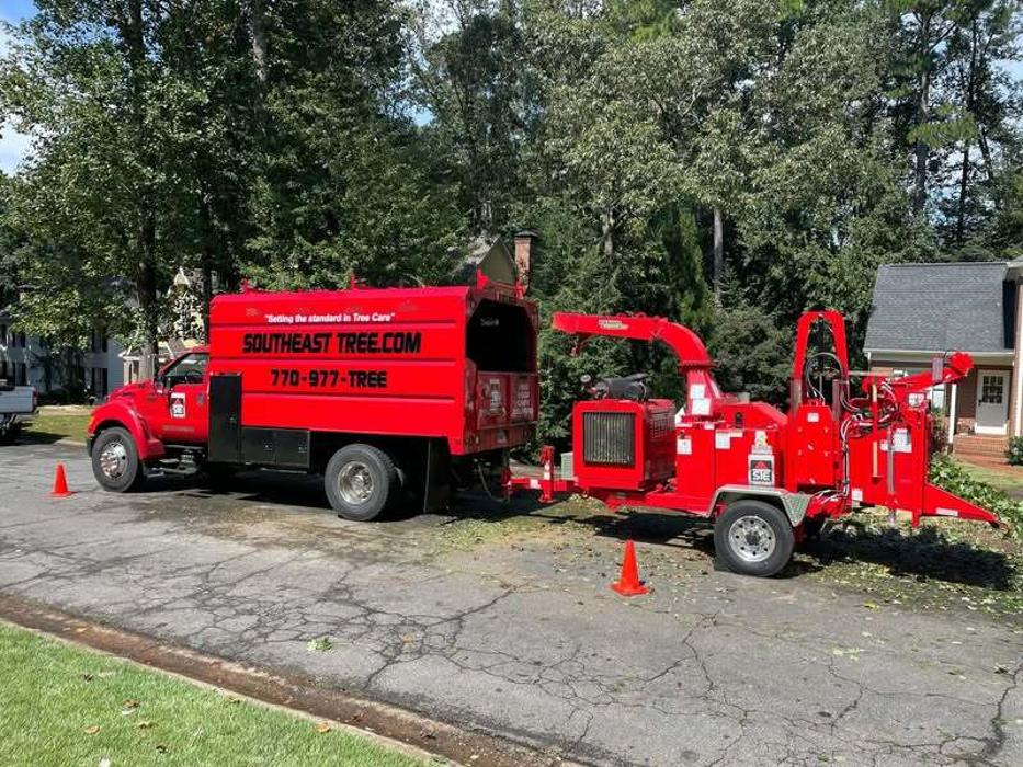 Southeast Tree Image