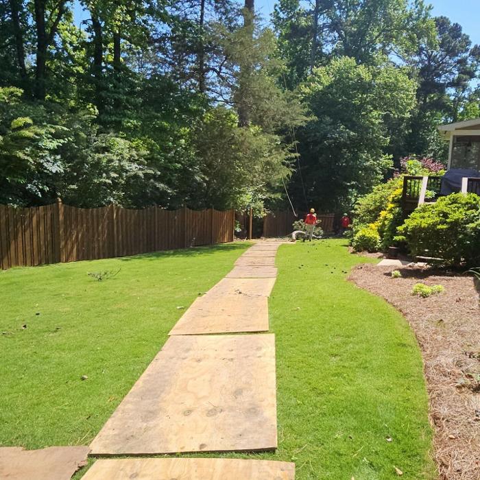 Southeast Tree Image