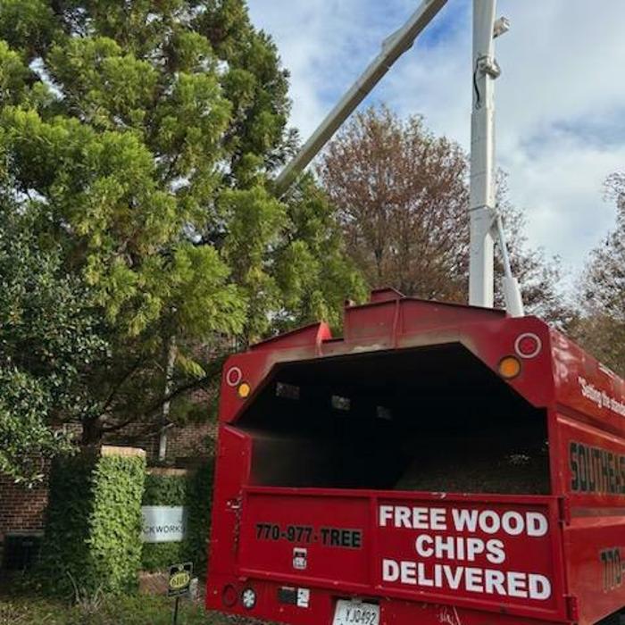 Southeast Tree Image