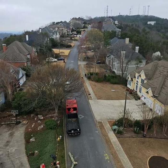 Southeast Tree Image