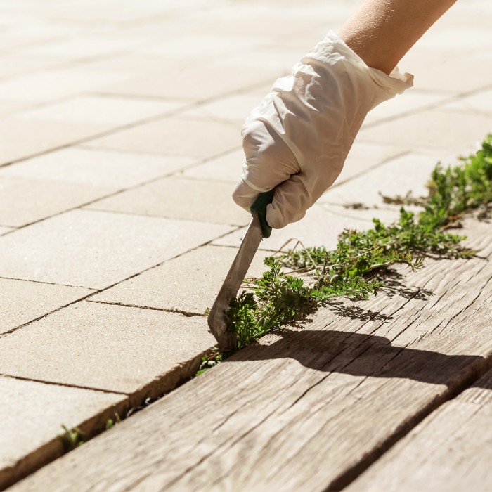Weed removal from paving cracks, showing the type of patio and pathway weed clearing included in our garden tidy-up services.