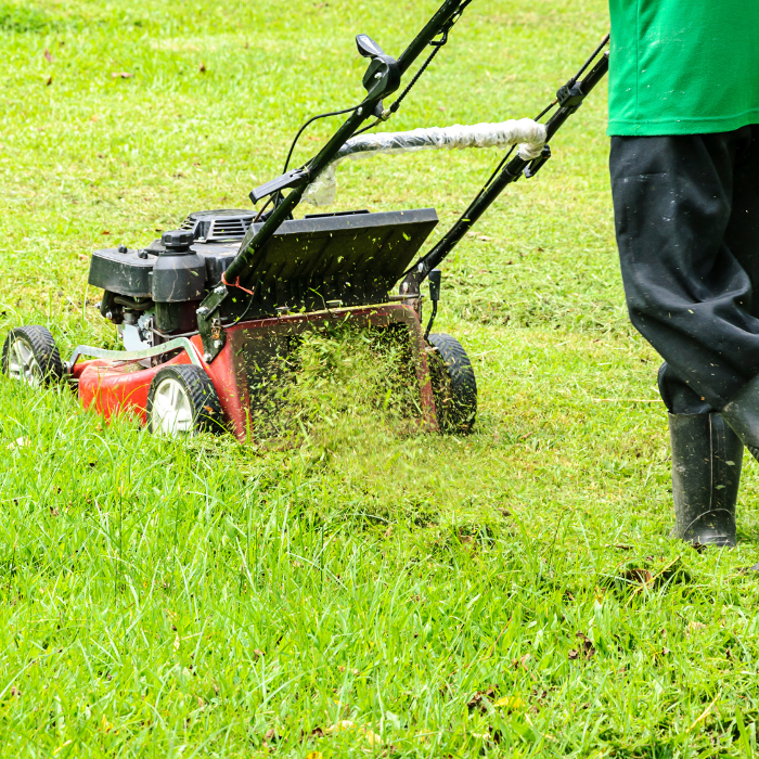 Petrol lawnmower cutting through long grass, showing the level of lawn mowing and grass management we offer in Leicester.