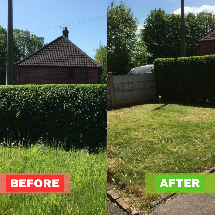 Before-and-after example of a lawn that has gone from long, overgrown grass to a neatly cut and well-maintained garden. Shows the standard of lawn mowing and hedge trimming services we can provide. Alongside neat hedge trimming services.