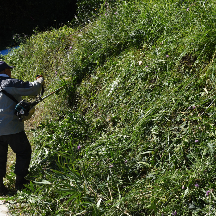 Example of strimming on a steep or overgrown bank, representing the type of heavy-duty grass cutting we can provide.