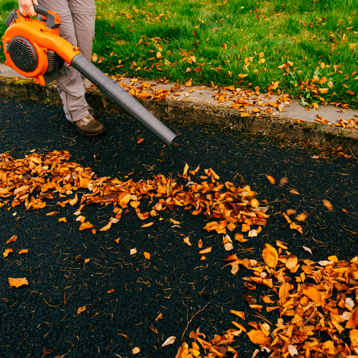Demonstration of leaf blowing for seasonal tidy-ups. Ideal for autumn garden maintenance and path clearing.