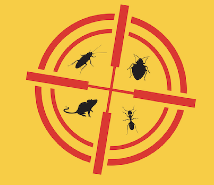 Nexus service pour animaux