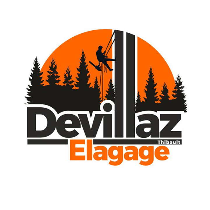 Devillaz Elagage Expert