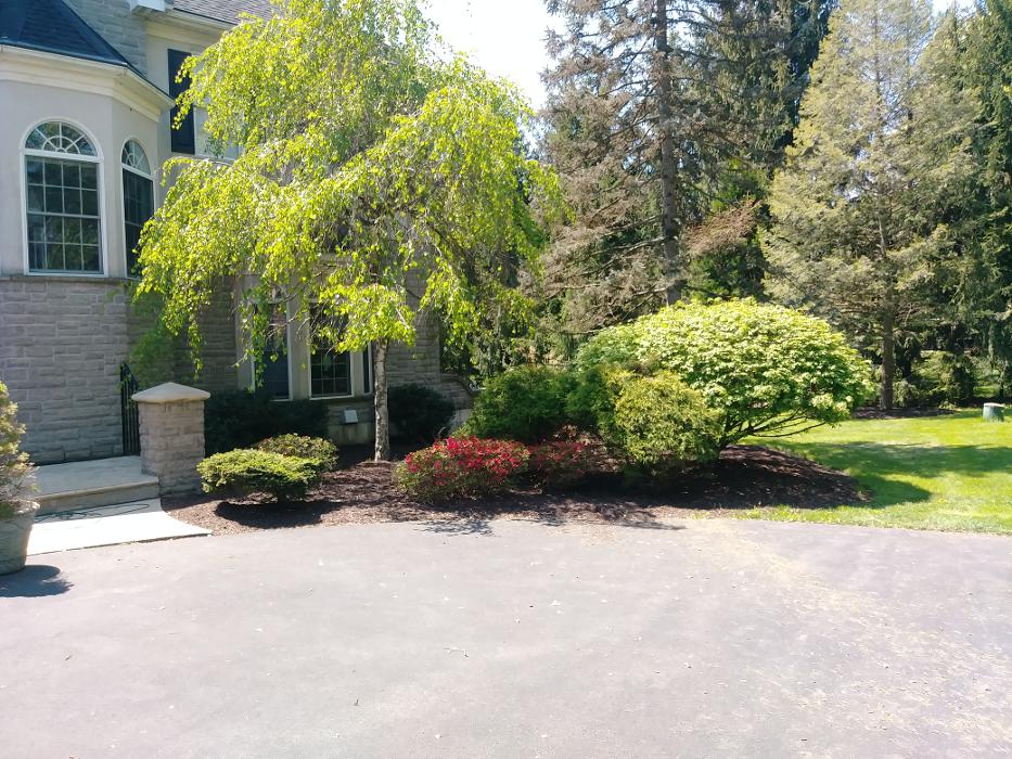 Craig's Lawncare and Hardscaping Image