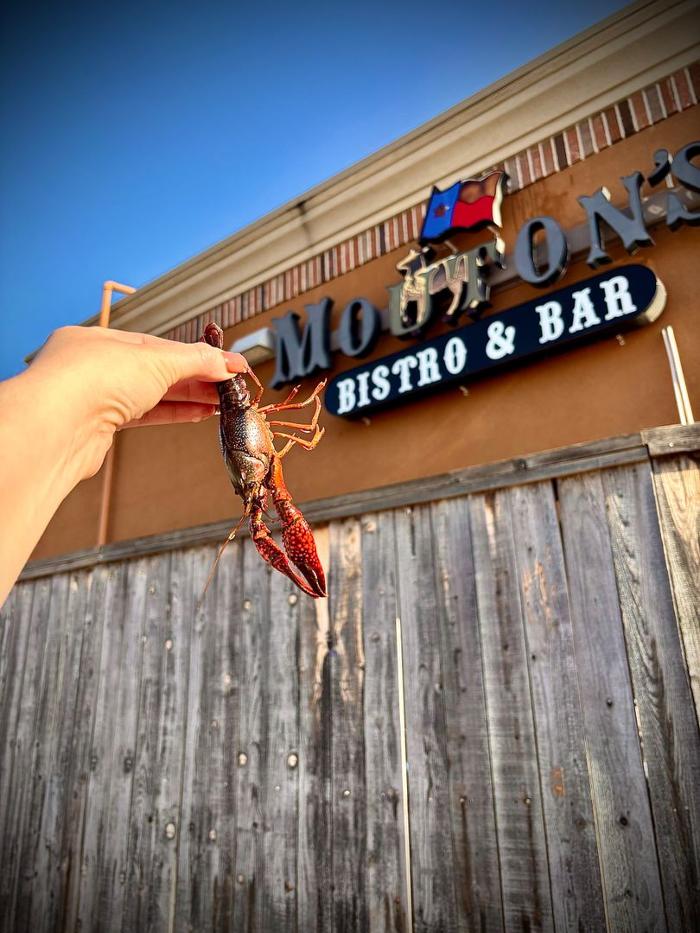 Mouton's Bistro & Bar Image