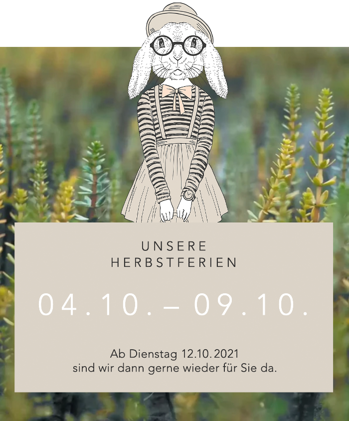 Optikart AG, Dorfstrasse in Wangen bei Olten