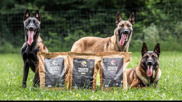 Predator Bites, Am Ried in Brunn am Gebirge