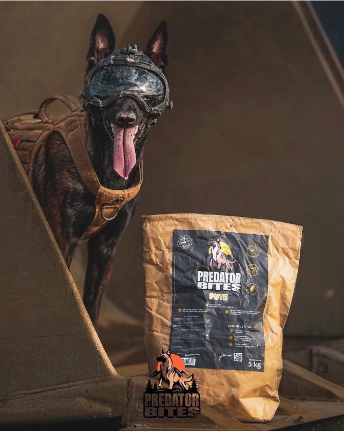 Predator Bites, Am Ried in Brunn am Gebirge