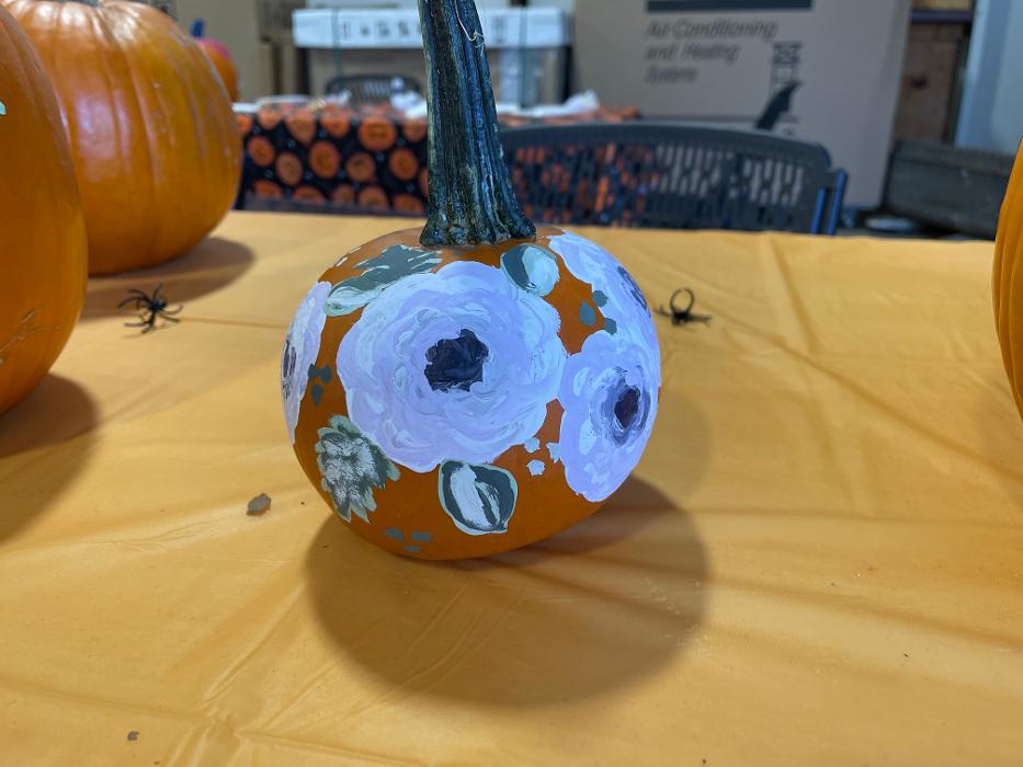 Professional Heating & Air - Hammond, LA