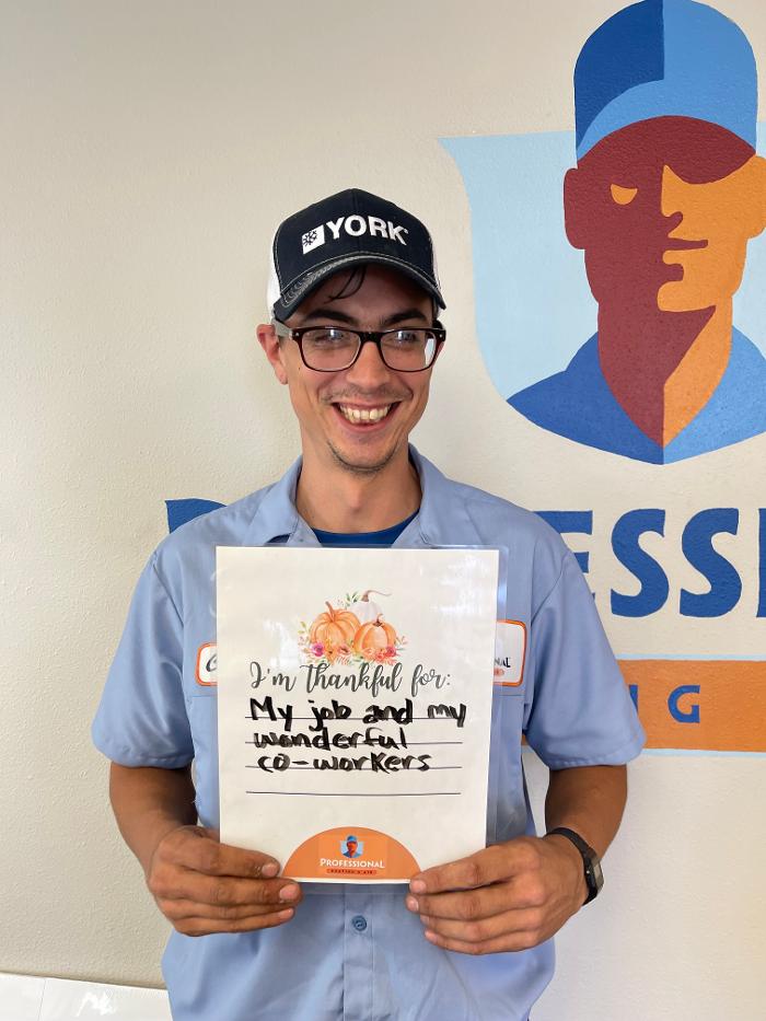 Professional Heating & Air - Hammond, LA