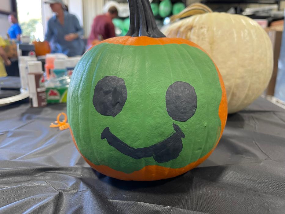 Professional Heating & Air - Hammond, LA