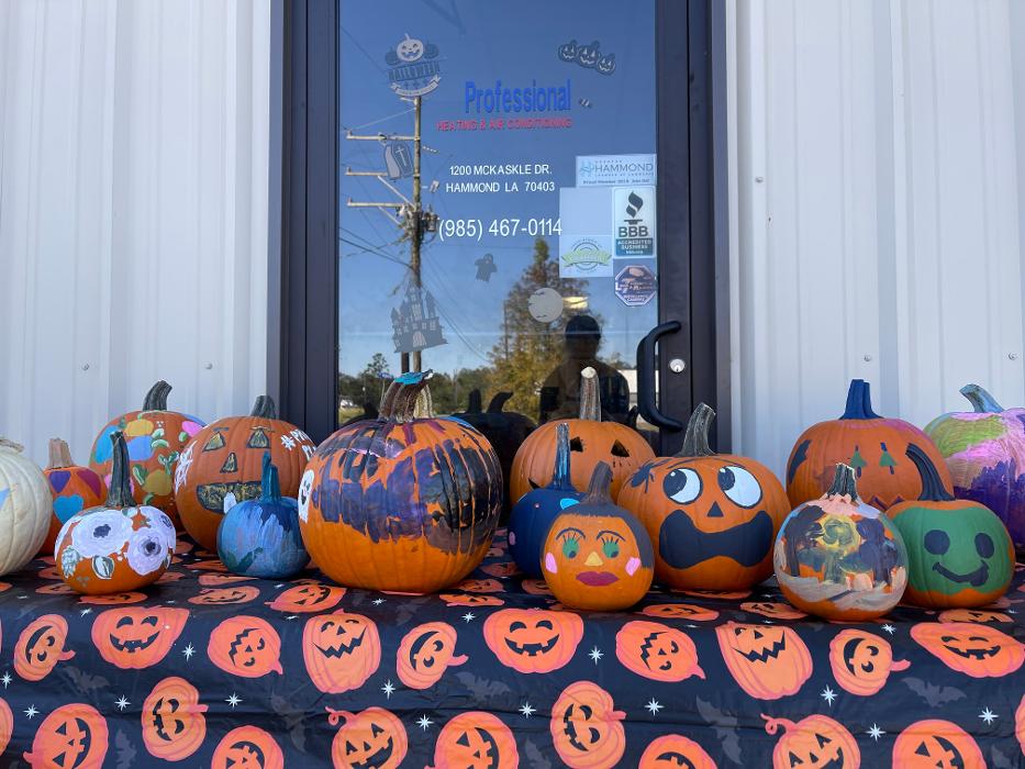 Professional Heating & Air - Hammond, LA