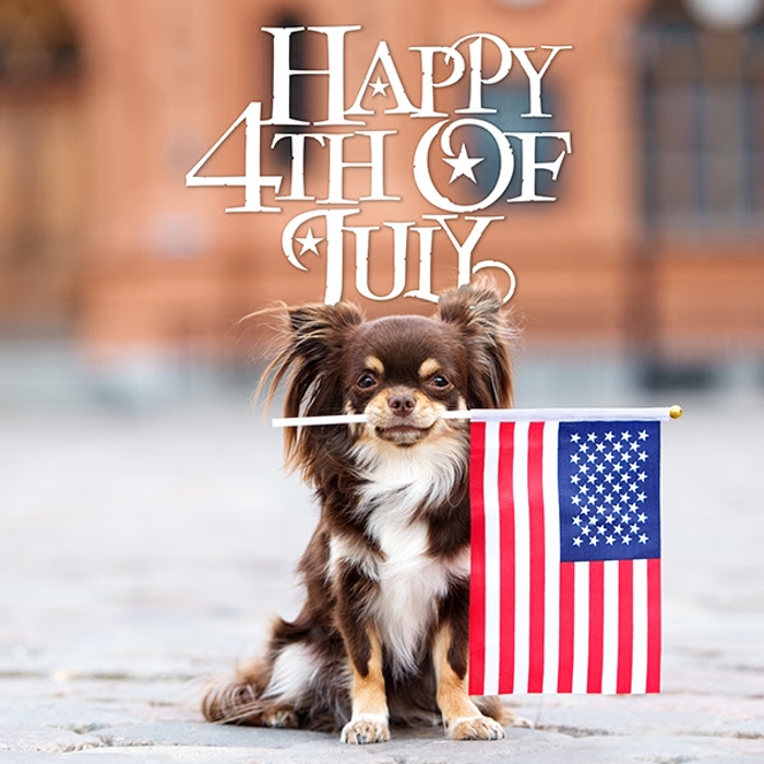 Lan's Lapels Cleaners - Wilmington Image