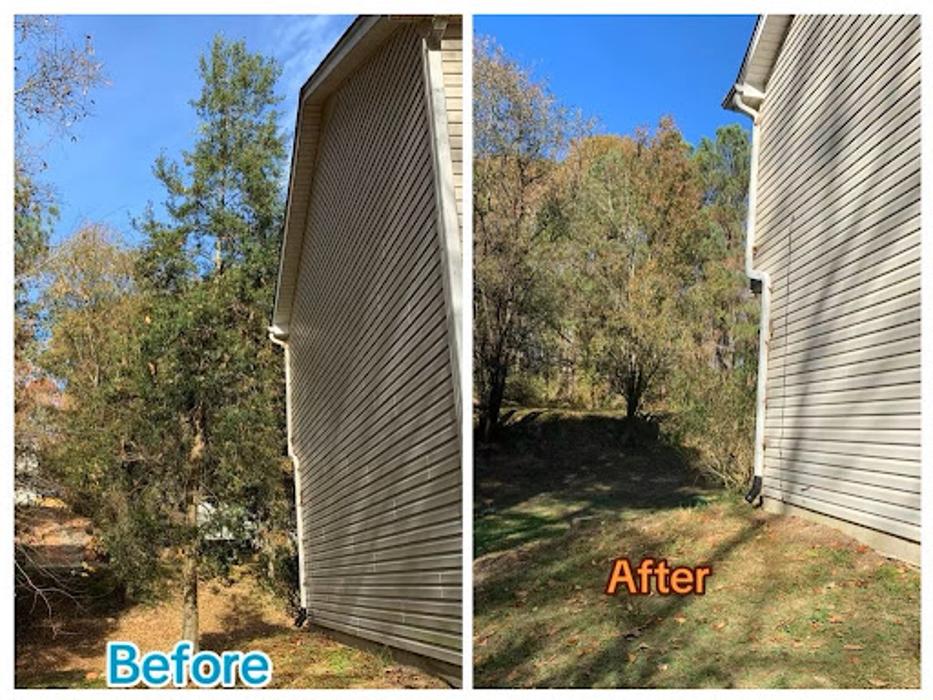 Grand Arch Tree Service, LLC - Flowery Branch, GA