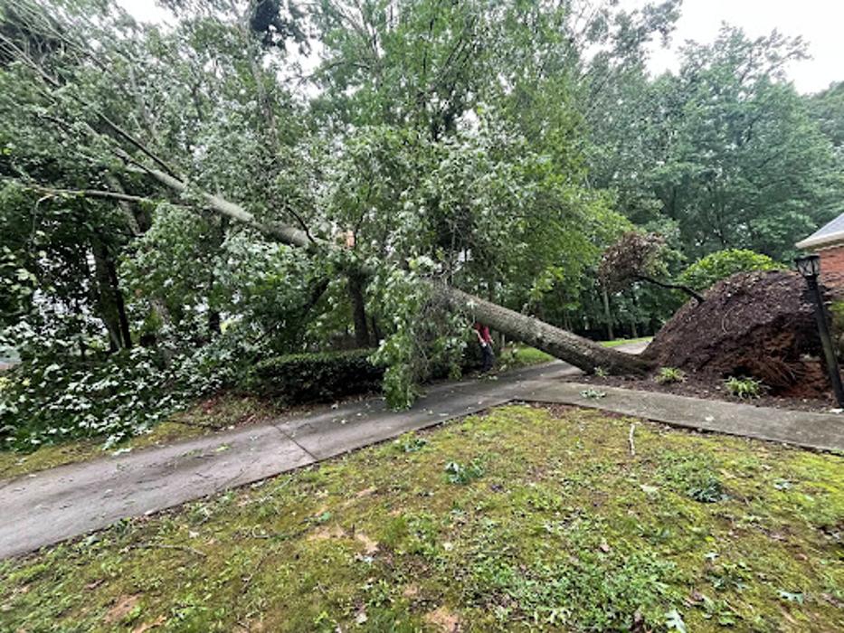 Grand Arch Tree Service, LLC - Flowery Branch, GA