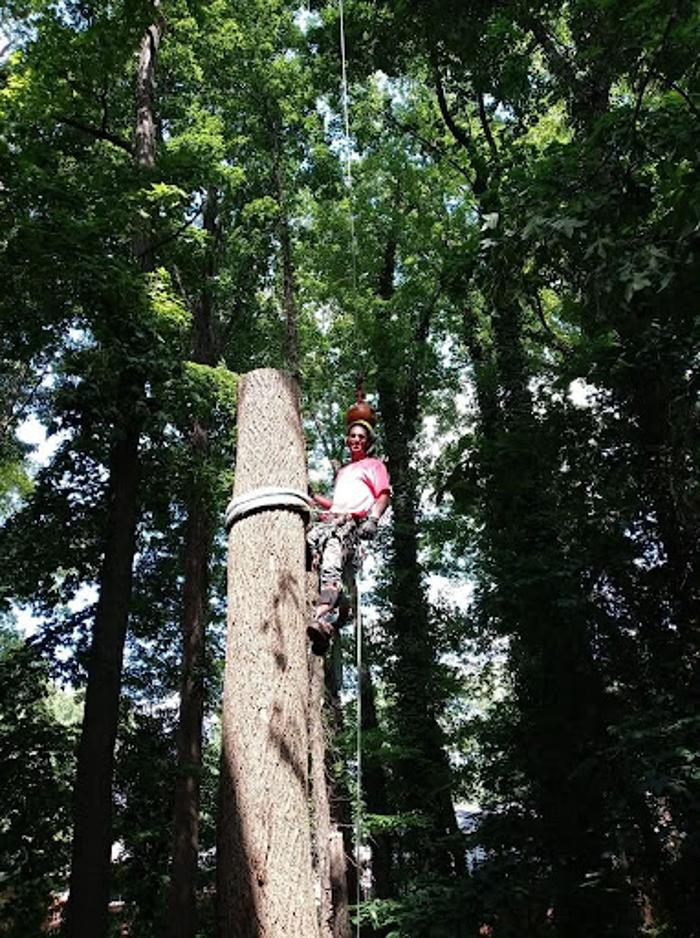 Grand Arch Tree Service, LLC - Flowery Branch, GA