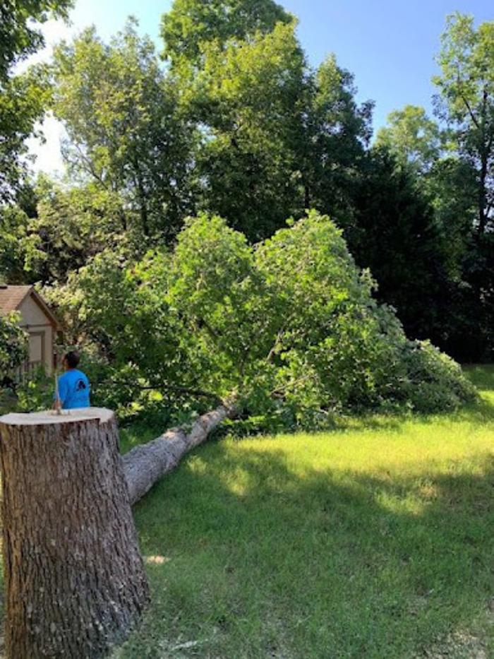 Grand Arch Tree Service, LLC - Flowery Branch, GA