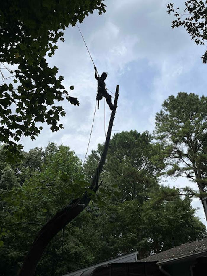 Grand Arch Tree Service, LLC - Flowery Branch, GA