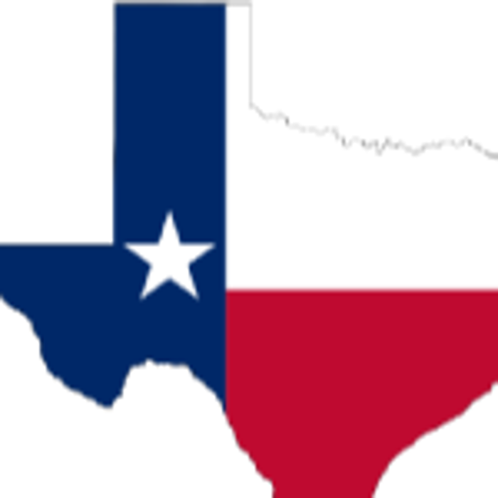 The Bed Bug Experts of Texas LLC - Bed Bug Exterminator Dallas Image