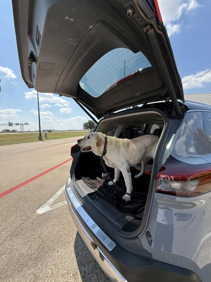 The Bed Bug Experts of Texas LLC - Bed Bug Exterminator Dallas Image