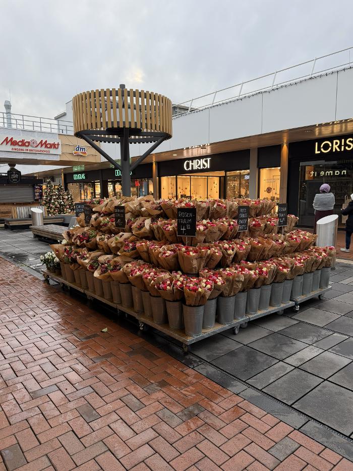 BLUME2000 in Hürth, Theresienhöhe in Hürth