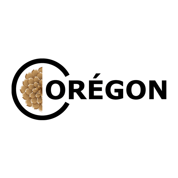 Oregon ingénierie et bureau d'études (divers)