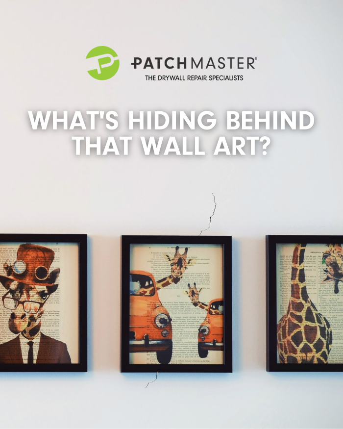 PatchMaster South Austin Image