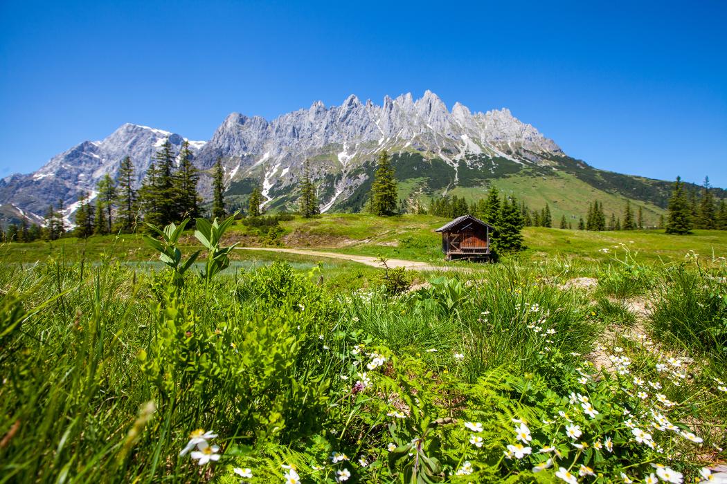 GATSBY LIVING GmbH, Urslaustraße in Hinterthal