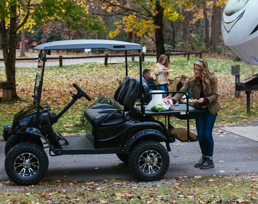 Cart Nation - Manning, SC