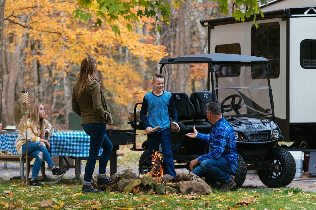 Cart Nation - Manning, SC