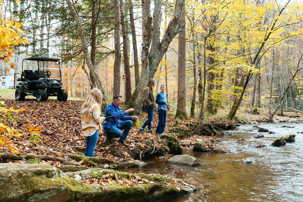 Cart Nation - Manning, SC